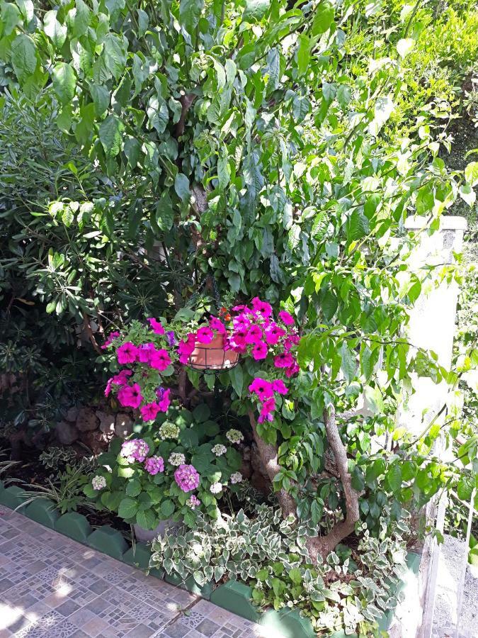 Beautiful Apartment Duska On The Beach Stanici 外观 照片